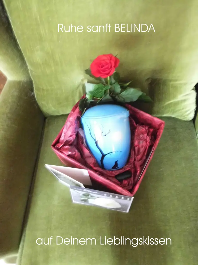 Image from Belinda