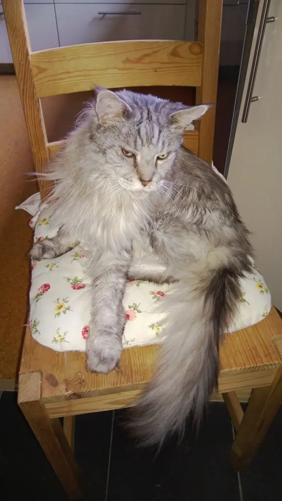 Condolence image of Vera