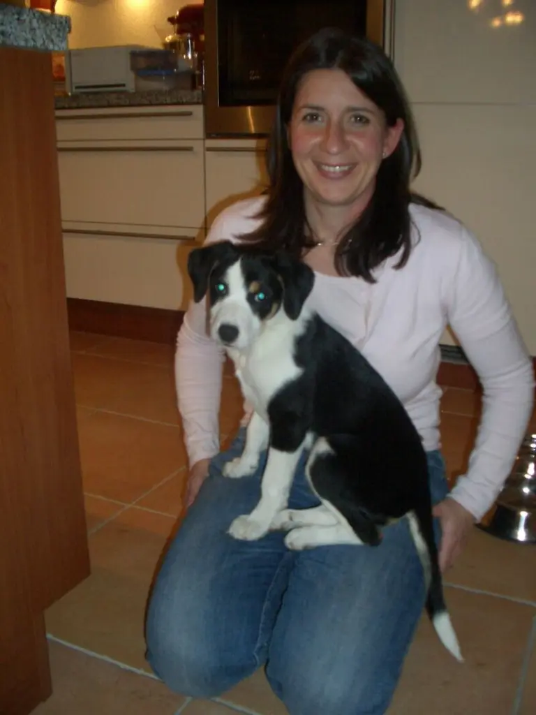 Image from Lilli