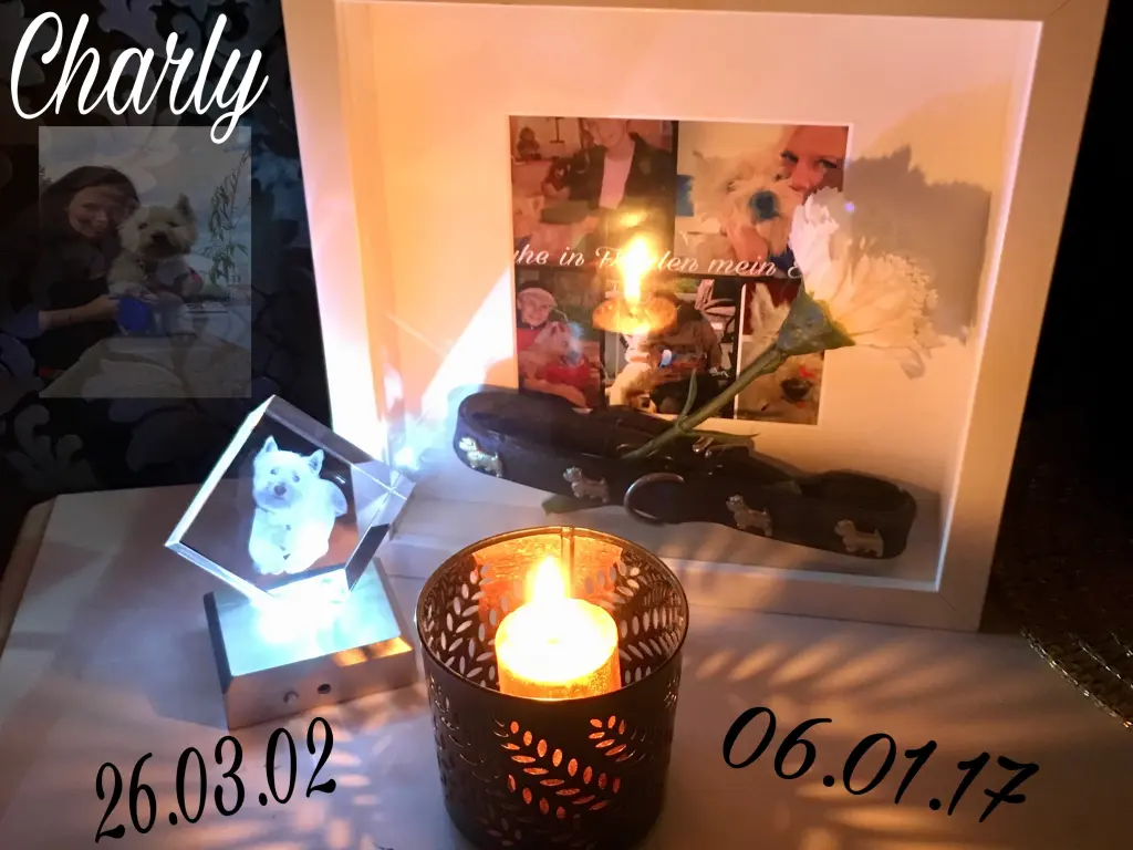 Condolence image of Diana