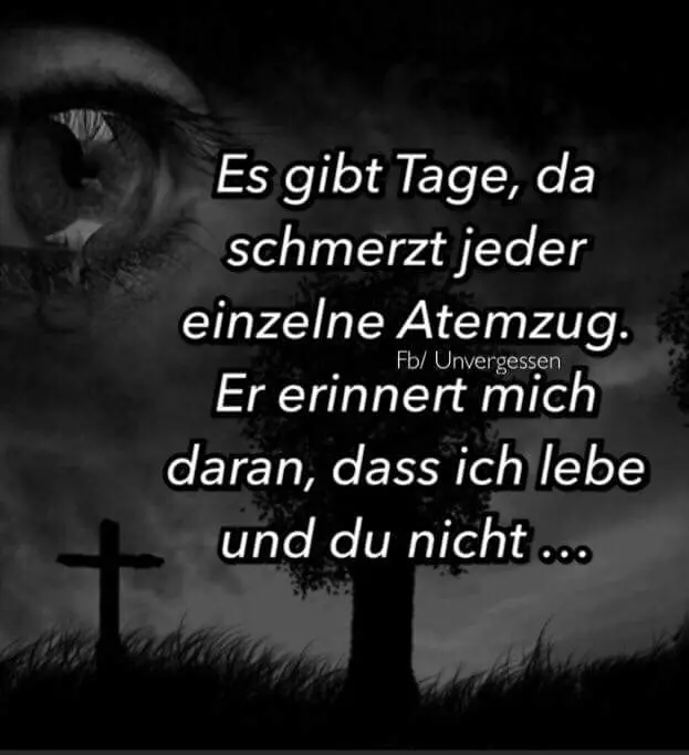 Condolence image of Dein Frauchen