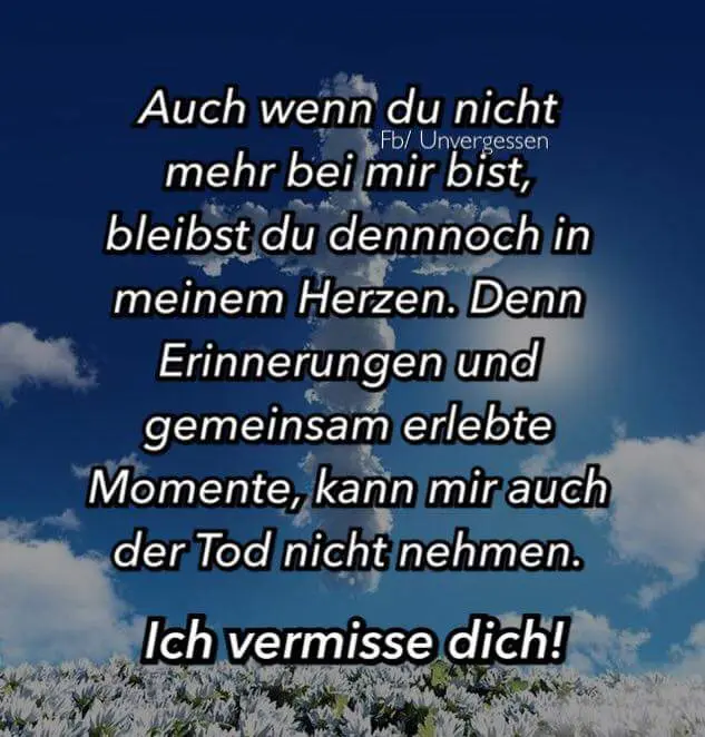 Condolence image of Dein Frauchen