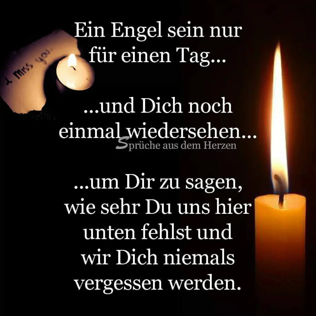 Condolence image of Dein Frauchen
