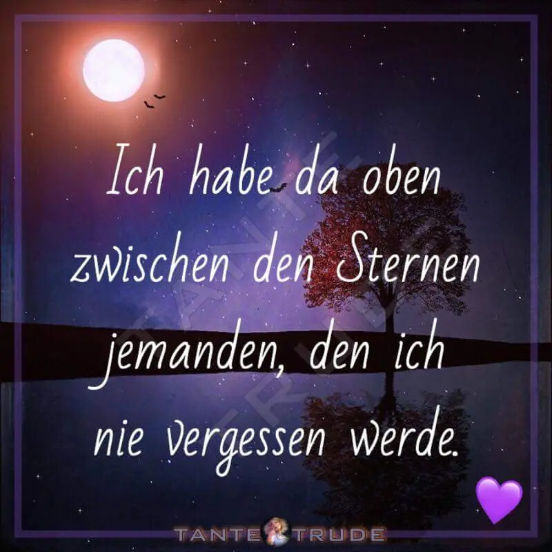 Condolence image of Dein Frauchen 