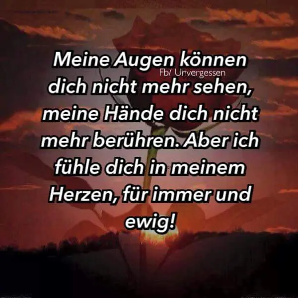 Condolence image of Dein Frauchen 