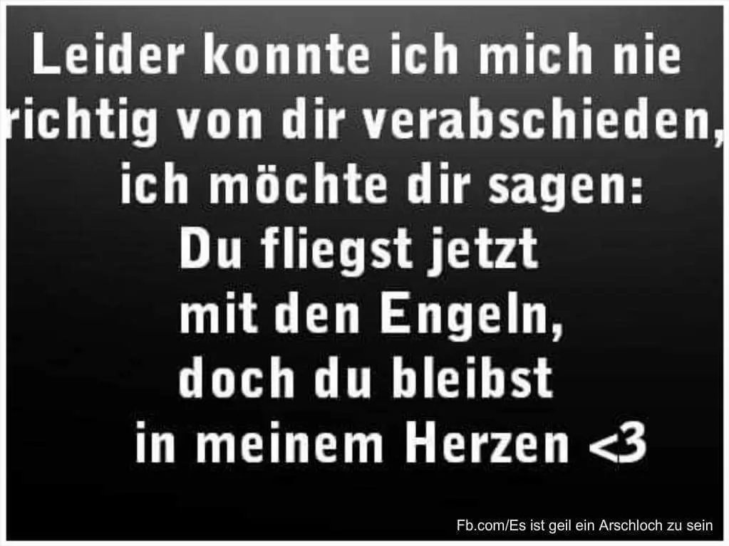 Condolence image of Dein Frauchen 