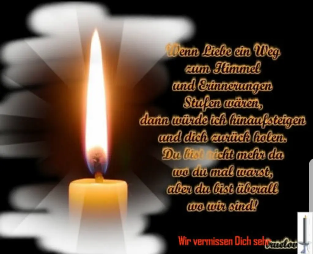 Condolence image of Dein Frauchen