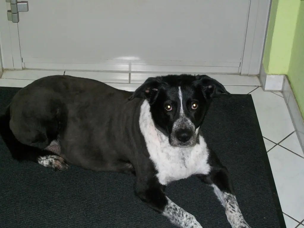 Condolence image of Dirk