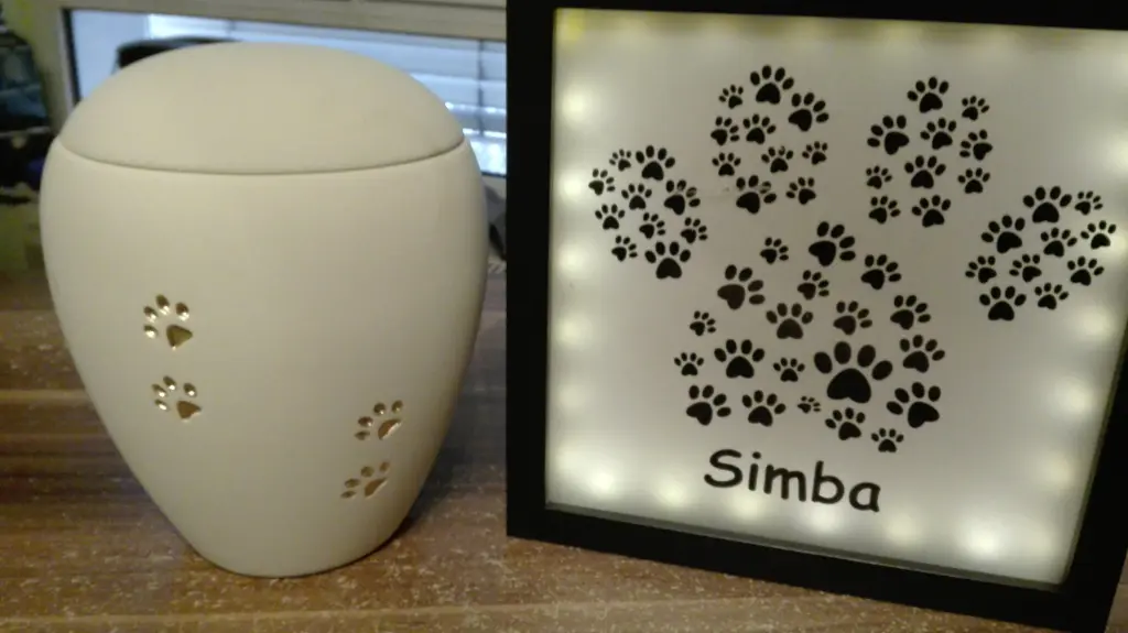 Image from Simba