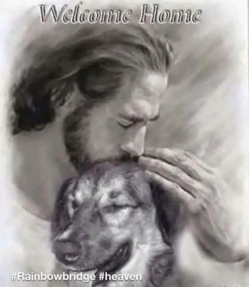 Condolence image of Mario