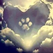Condolence image of martina