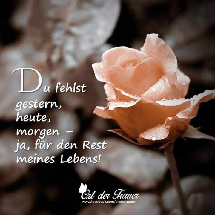 Condolence image of Silke
