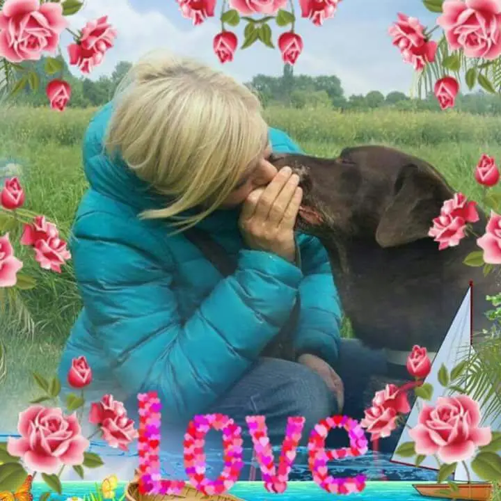 Condolence image of Silke