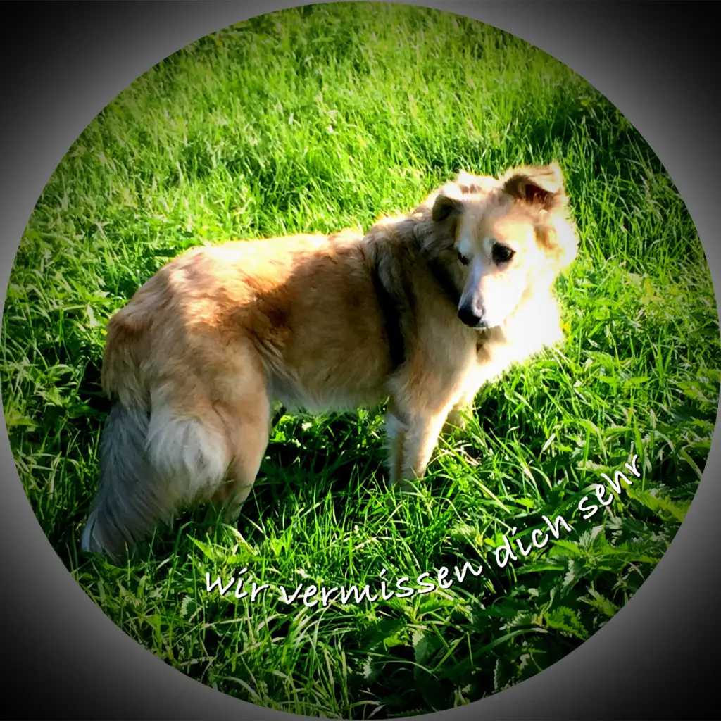 Image from Kalli