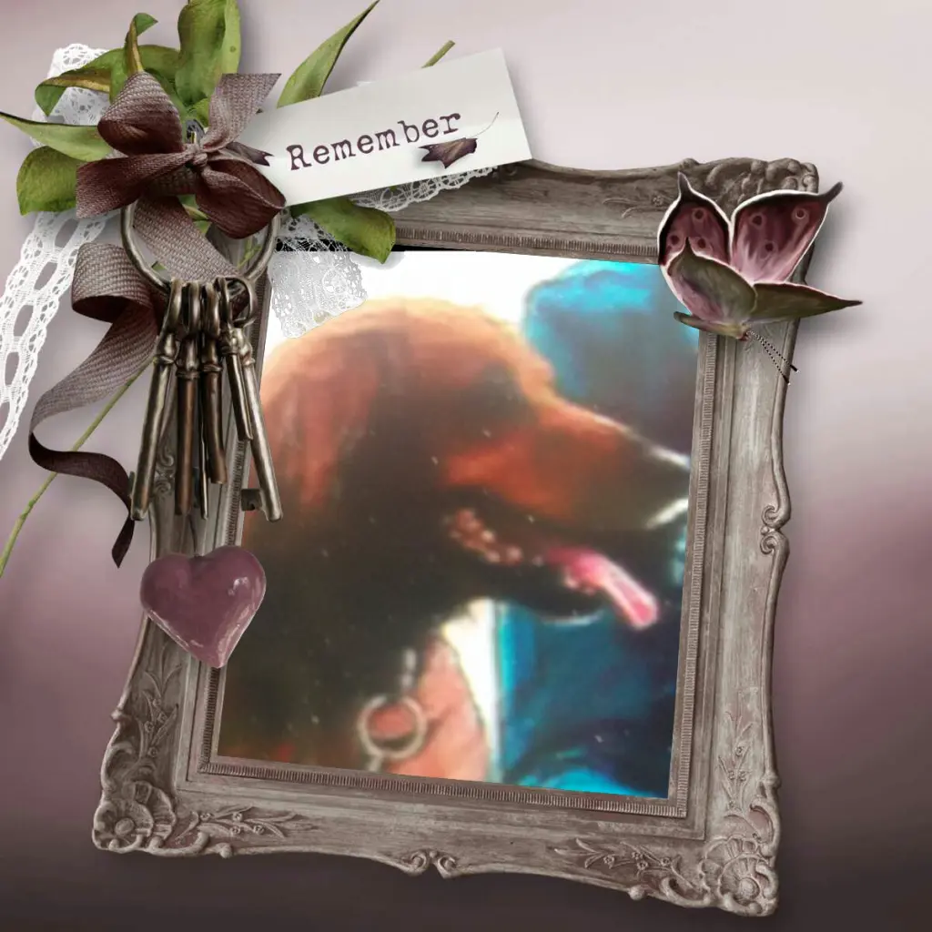 Condolence image of Stefanie