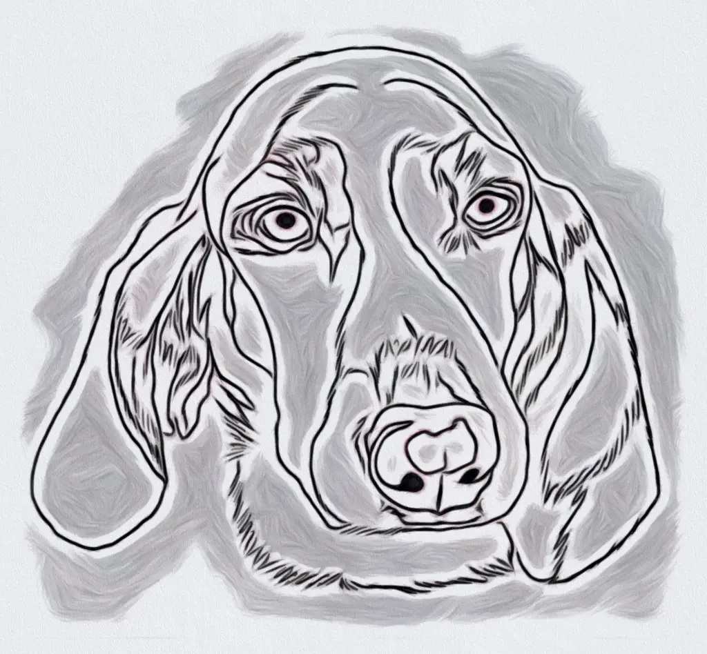 Image from Gretel