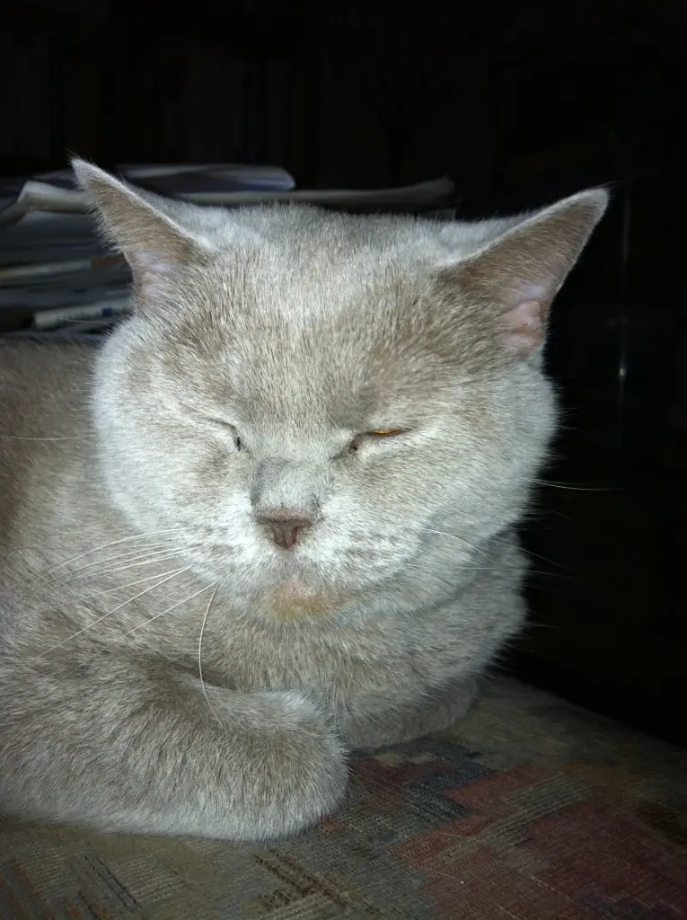 Condolence image of Kerstin