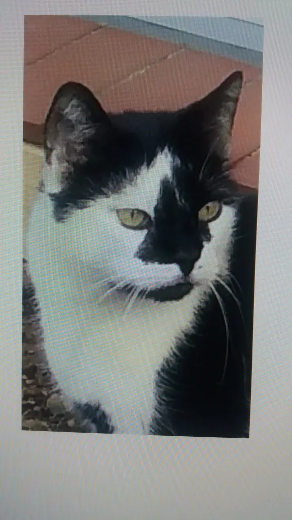 Condolence image of Annemarie und Elke mit Snoopy im Herzen gest 04.01.2022