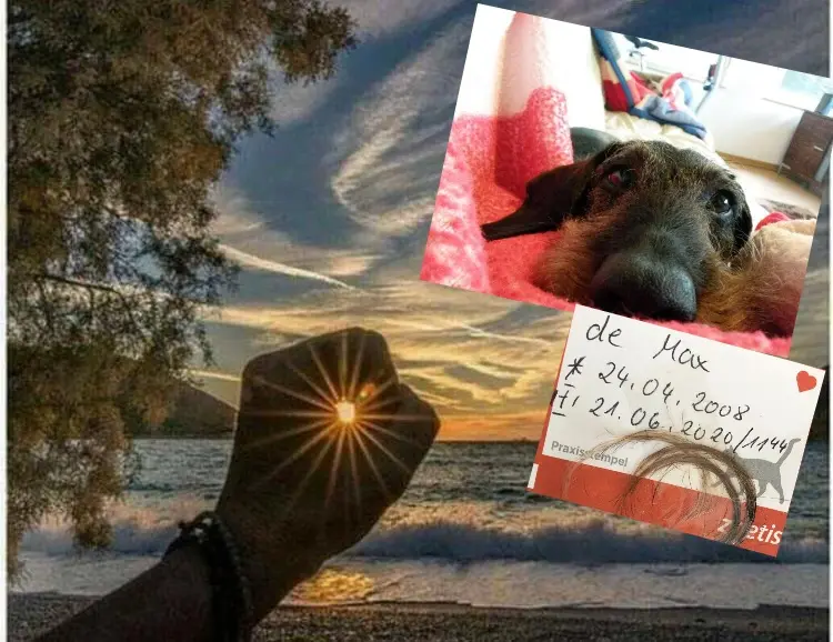 Condolence image of Unbekannt
