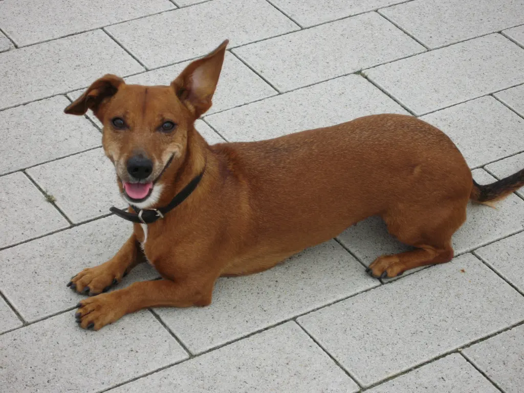 Condolence image of Nicole