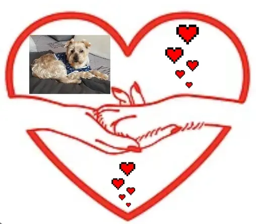 Condolence image of Krzysztof und Ewa mit Jacki tief im Herzen ❤