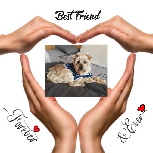 Condolence image of Krzysztof und Ewa mit Jacki tief im Herzen ❤