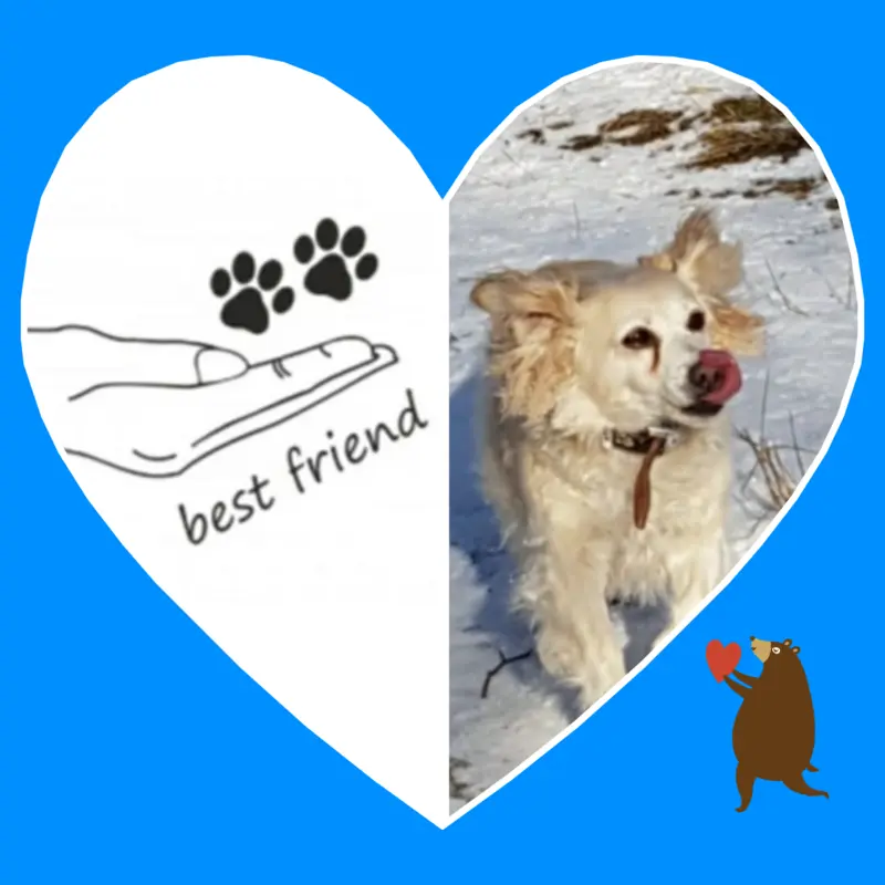 Condolence image of Heike mit Biene  im ❤ 