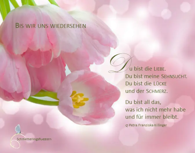 Condolence image of Krzysztof und Ewa mit Jacki tief im Herzen ❤
