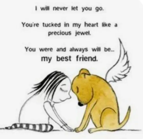 Condolence image of Krzysztof und Ewa mit Jacki tief im Herzen ❤