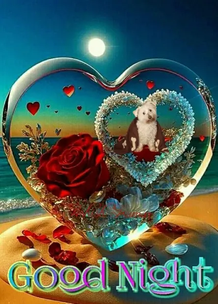 Condolence image of ⭐Gute Nacht⭐