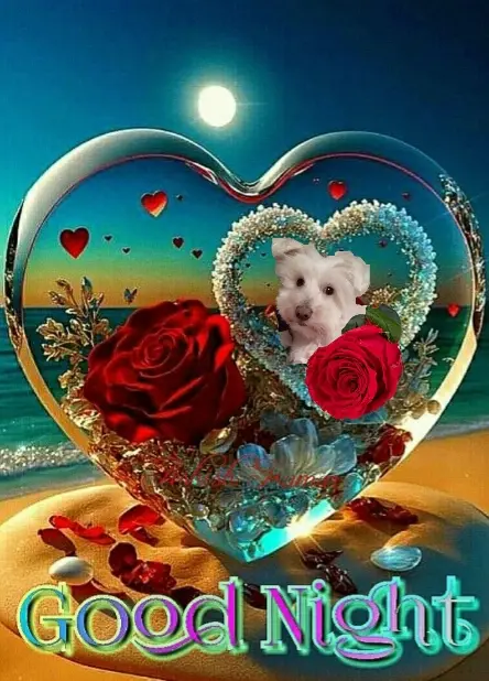 Condolence image of ⭐Gute Nacht⭐