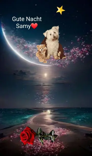 Condolence image of ⭐Gute Nacht Samy❤⭐