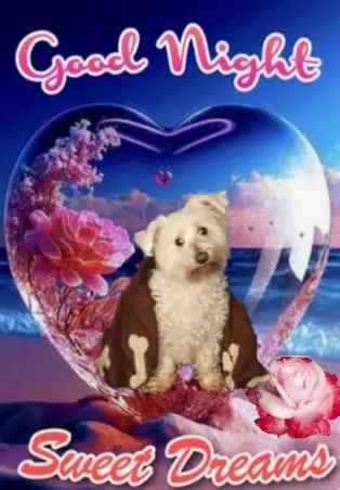 Condolence image of Krzysztof und Ewa mit Jacki tief im Herzen ❤