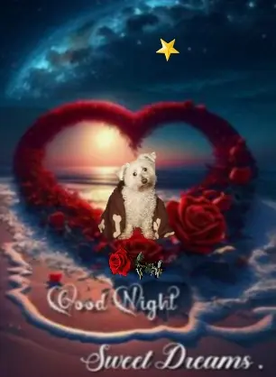Condolence image of ⭐Gute Nacht⭐