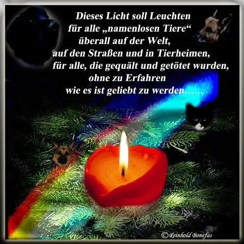 Condolence image of ⭐⭐Schein der Kerzen⭐⭐