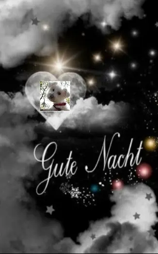 Condolence image of Ewa und Krzysztof mit Jacki tief im Herzen ❤