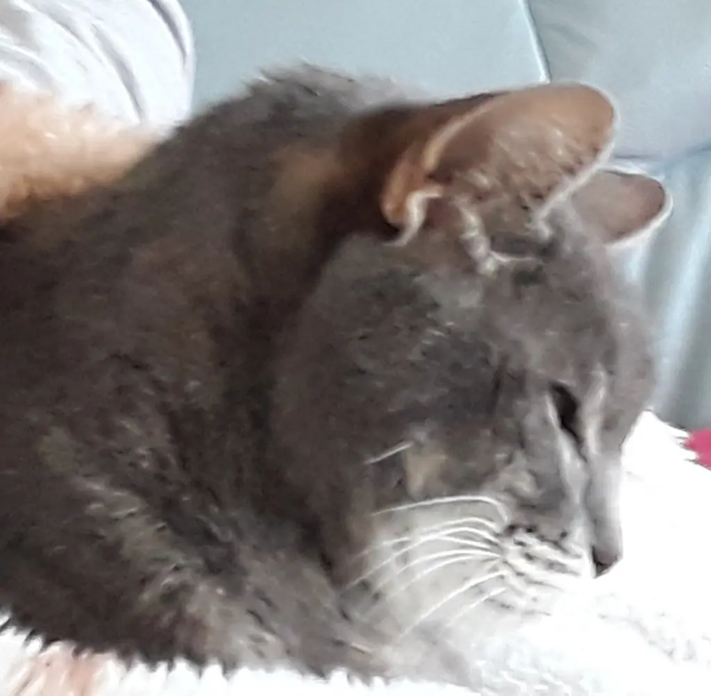 Condolence image of Für Jonny ♥️⭐♥️