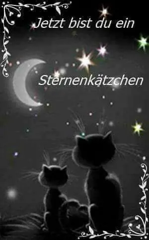 Condolence image of Ina Erberich