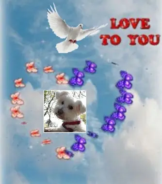 Condolence image of Ewa und Krzysztof mit Jacki tief im Herzen ❤