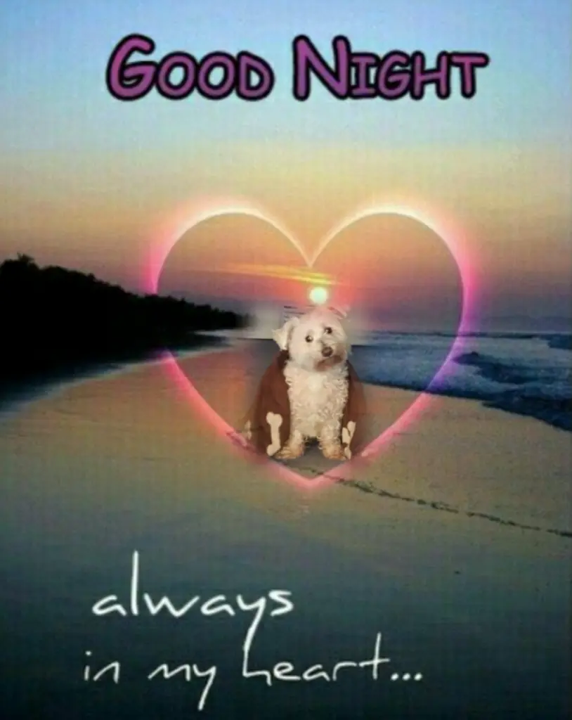 Condolence image of ⭐Abendgruß⭐