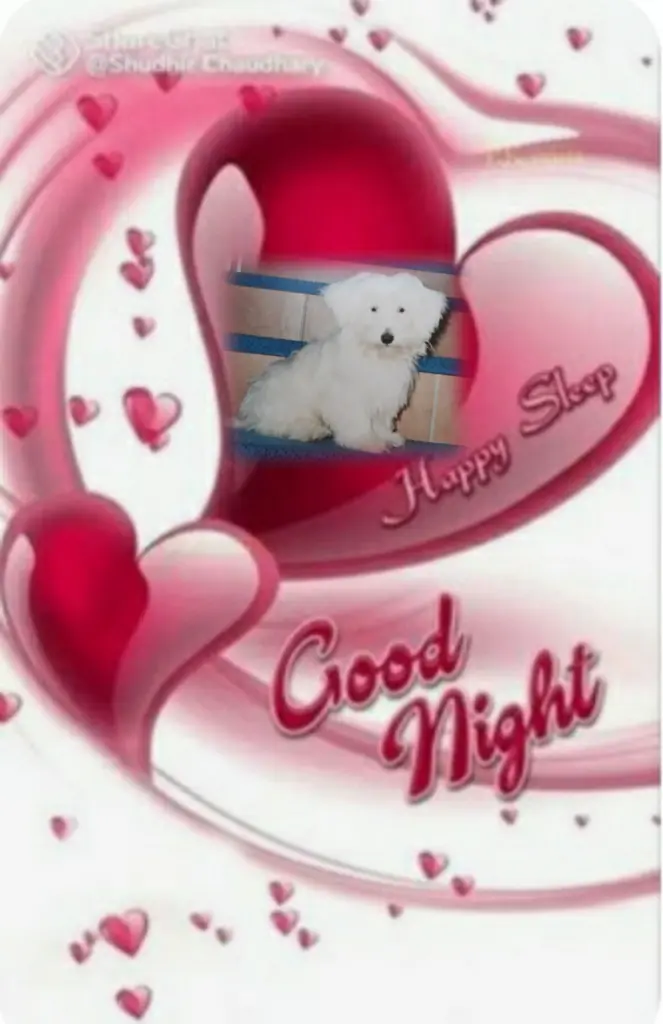 Condolence image of ⭐Abendgruß⭐