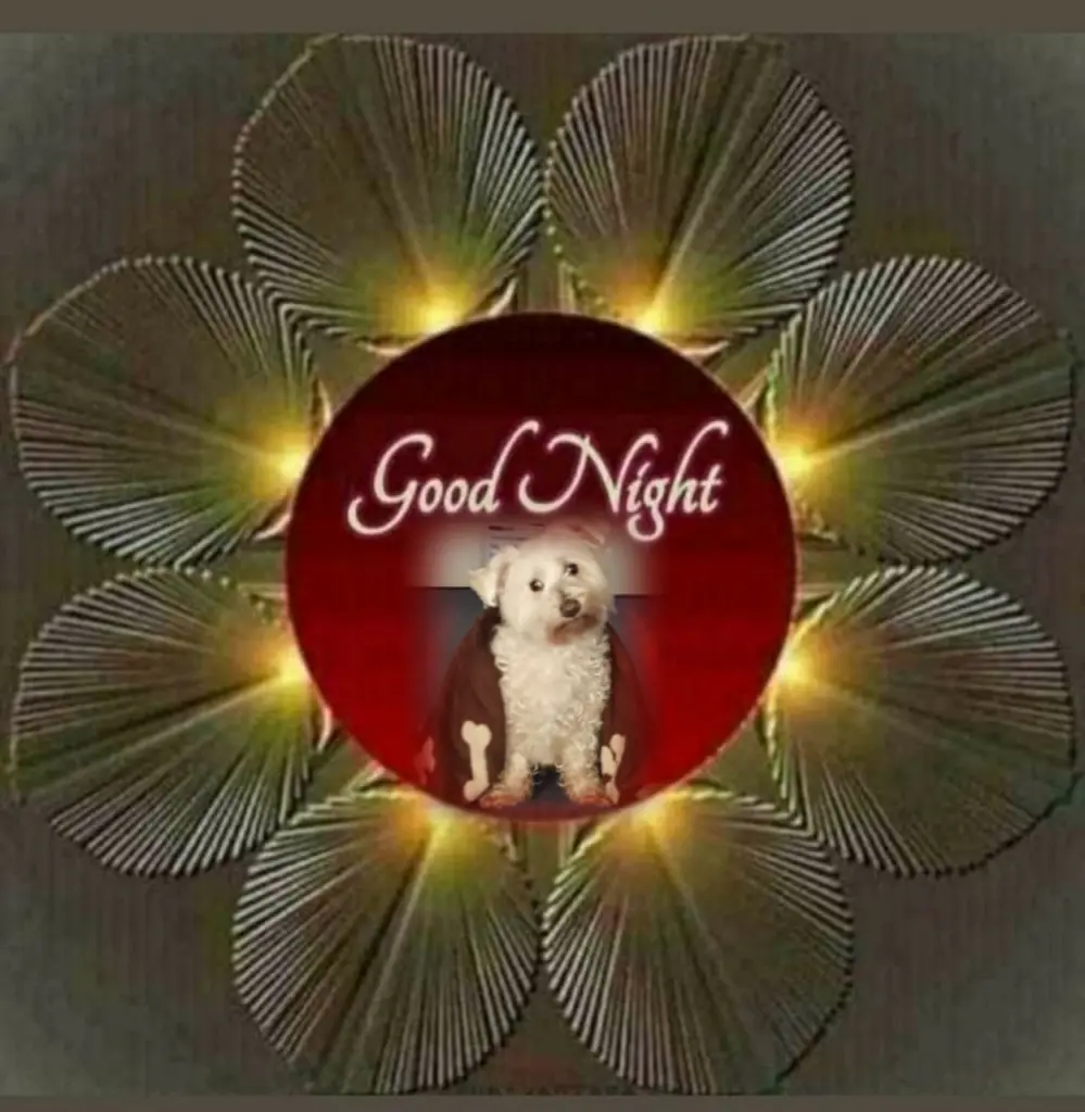 Condolence image of ⭐Gute Nacht⭐