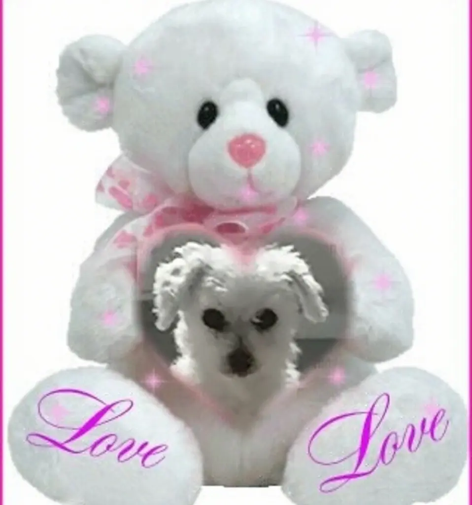Condolence image of Snowy