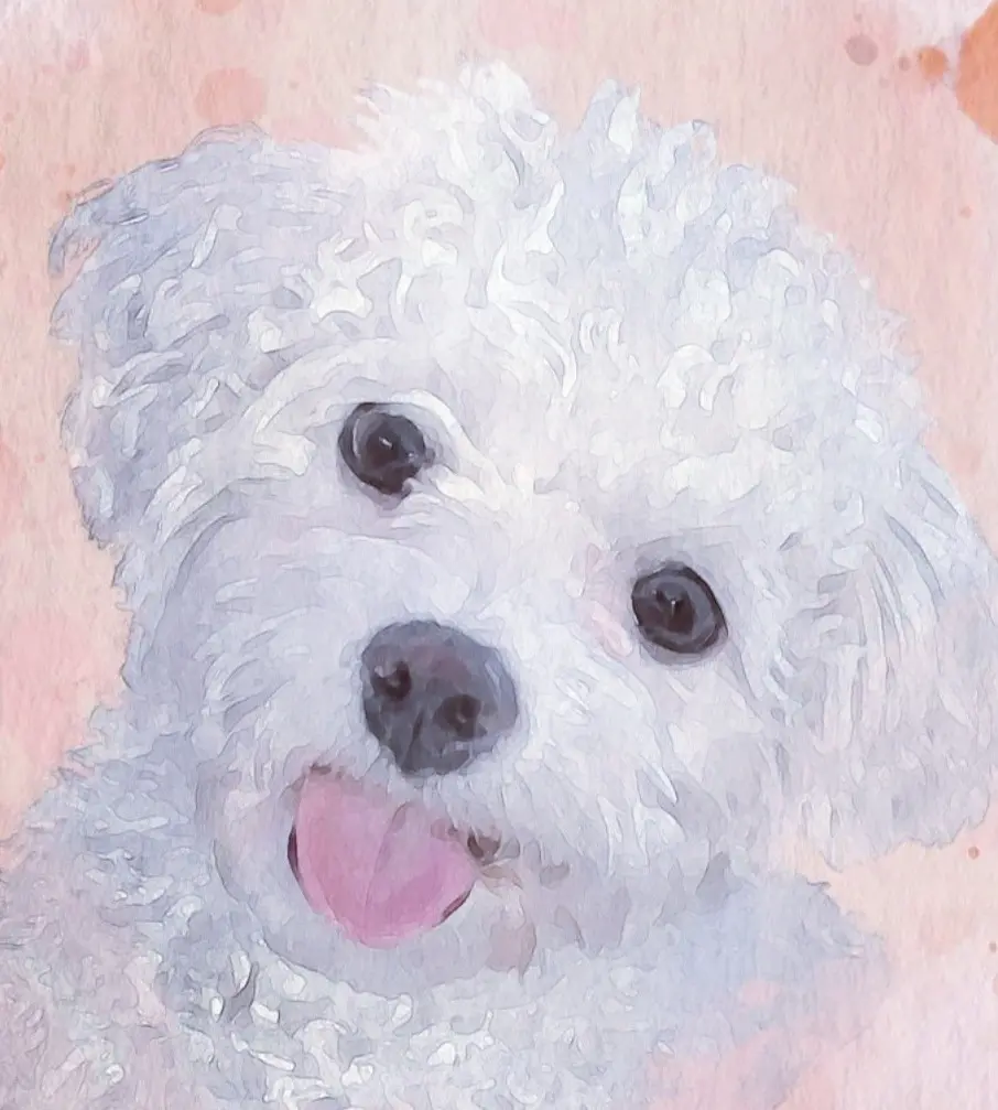 Condolence image of Snowy ❤️