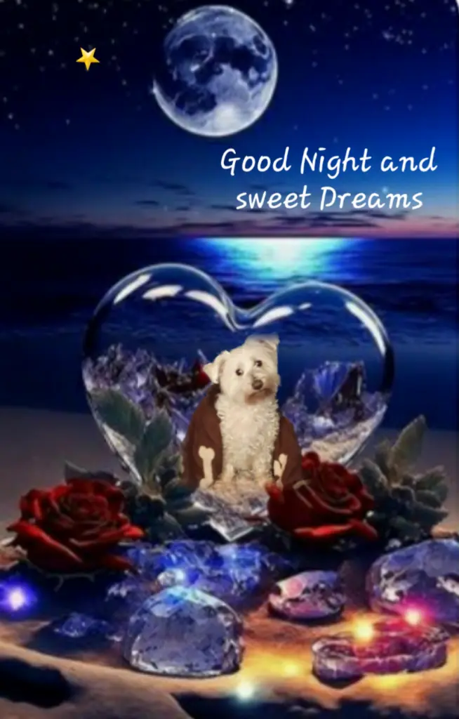 Condolence image of ⭐Abendgrüße und Gute Nacht⭐