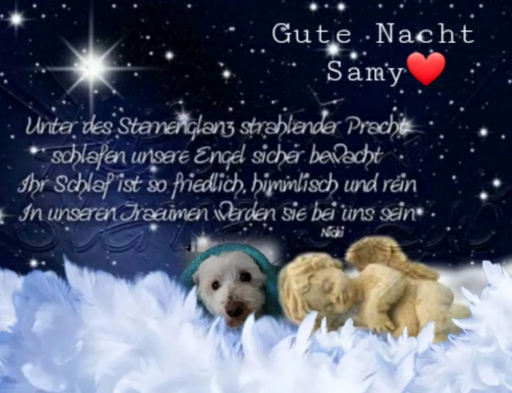 Condolence image of Ewa und Krzysztof mit Jacki tief im Herzen ❤