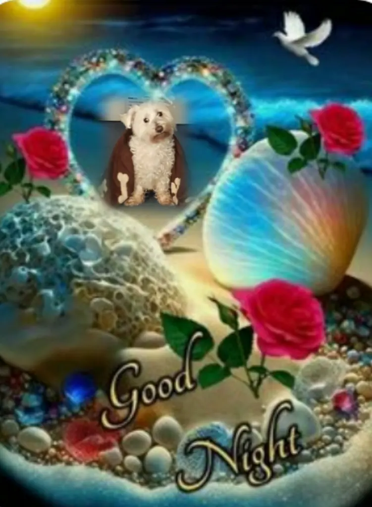 Condolence image of ⭐Gute Nacht⭐