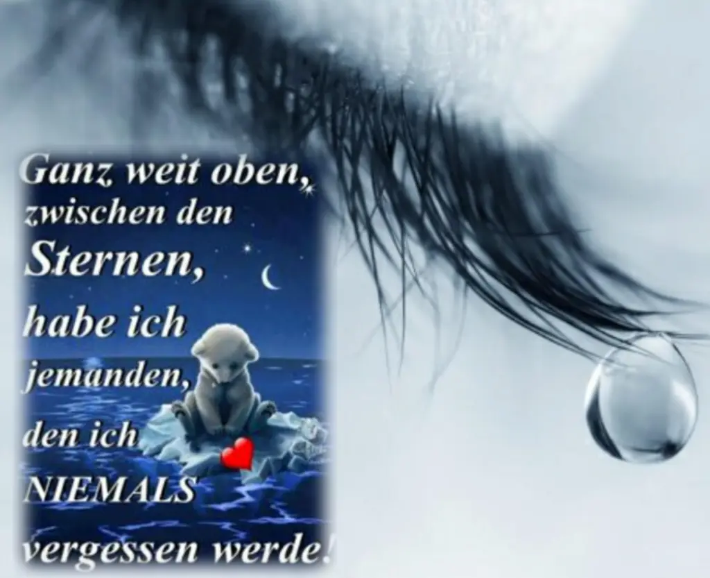 Condolence image of Ewa und Krzysztof mit Jacki tief im Herzen ❤