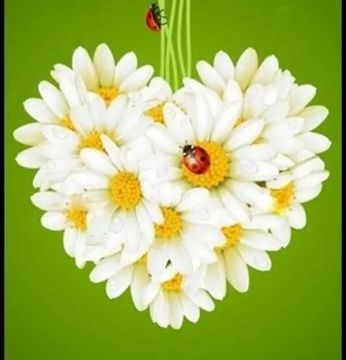 Condolence image of Von deiner Familie ♥️