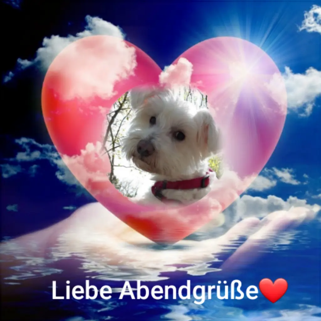 Condolence image of Ewa und Krzysztof mit Jacki tief im Herzen ❤